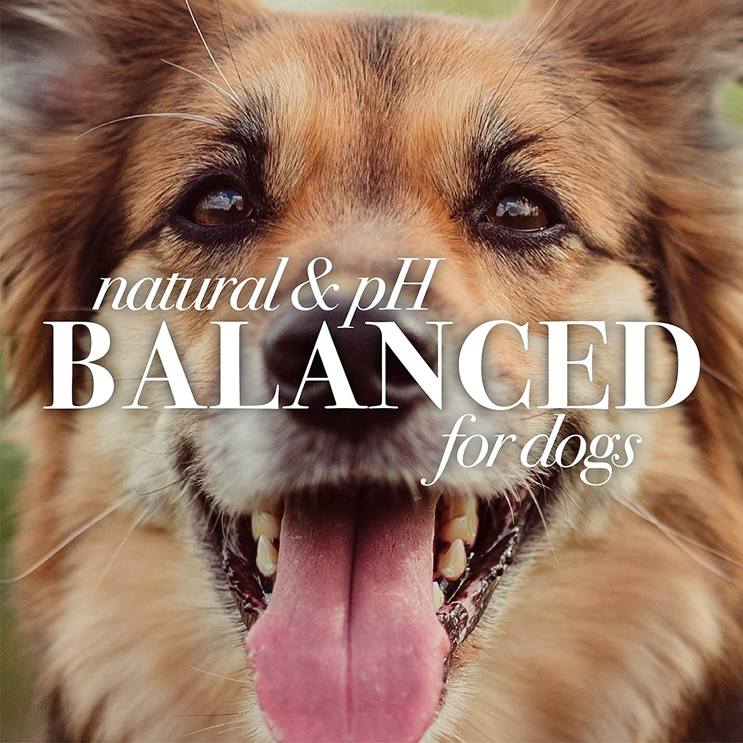 Natural Waterless Dog Shampoo Spray with Apple and Honey, Dry Shampoo for Dogs and Puppies, for Large and Smelly Dogs, Sulfate & Paraben Free, Ph Balanced, Made in USA - 10 Oz