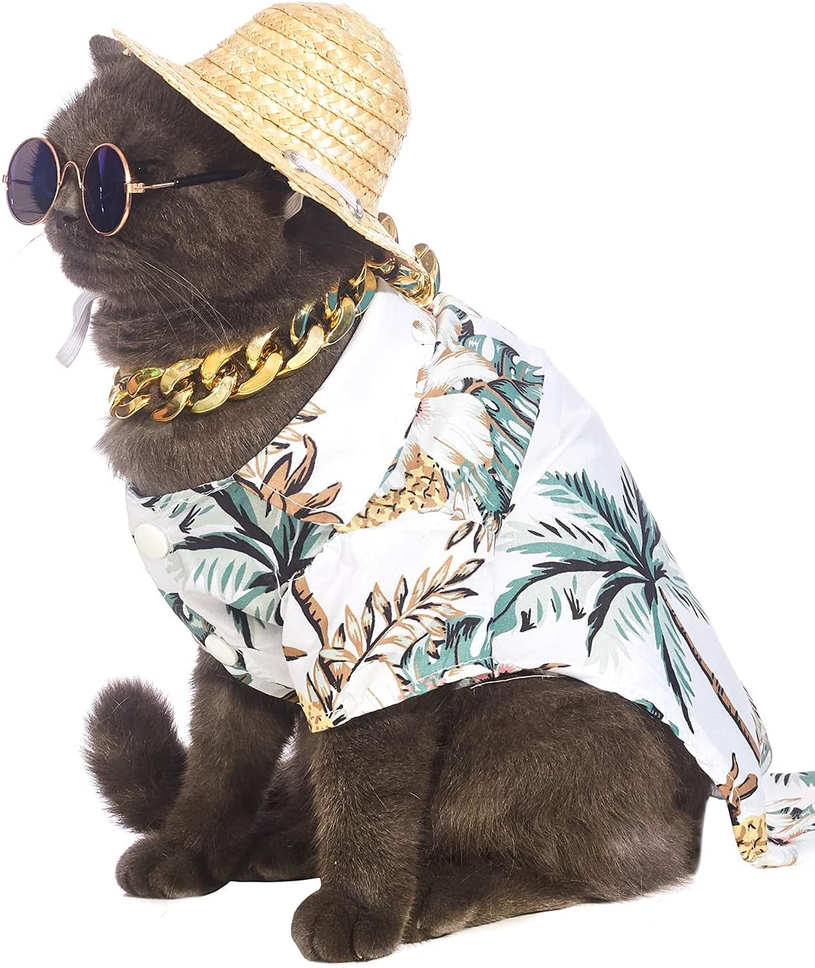 Hawaiian Dog T Shirts Pet Summer Clothes Cat Sunglasses Funny Straw Hat Kitten Costumes with Gold Chain Collar (Small,White)