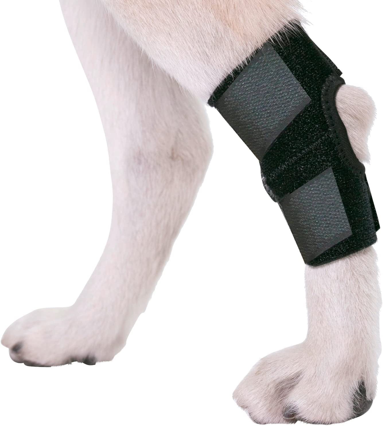 ® Dog Canine Rear Hock Joint Brace Compression Wrap with Straps Dog for Back Leg Protects Wounds. Heals Prevents Injuries and Sprains Helps with Loss of Stability Caused by Arthritis (Small)