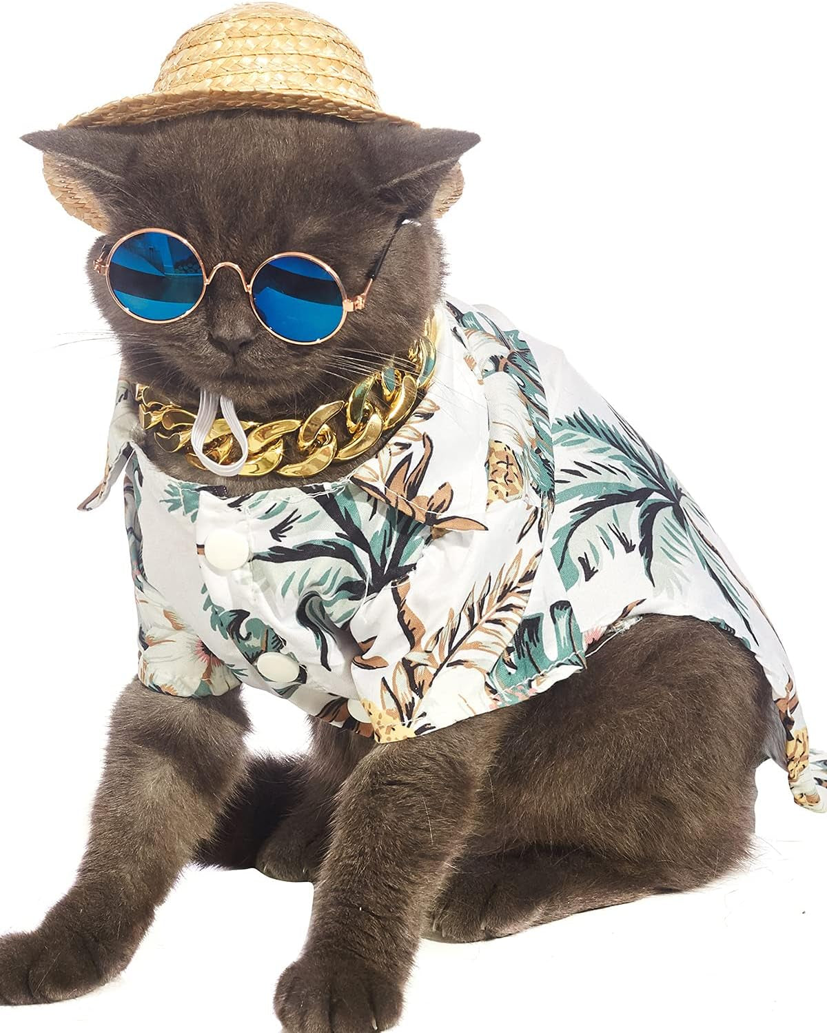 Hawaiian Dog T Shirts Pet Summer Clothes Cat Sunglasses Funny Straw Hat Kitten Costumes with Gold Chain Collar (Small,White)