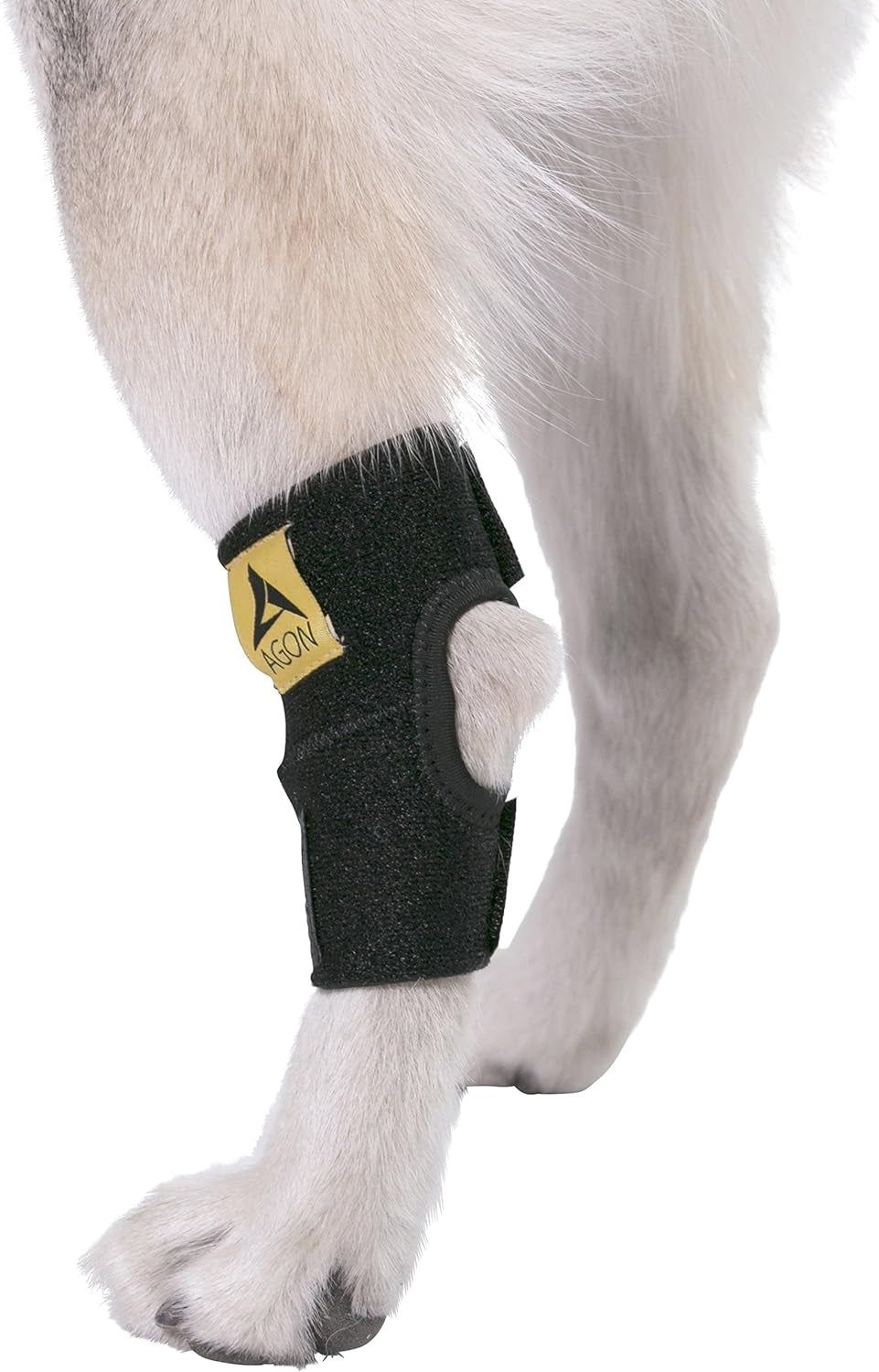 ® Dog Canine Rear Hock Joint Brace Compression Wrap with Straps Dog for Back Leg Protects Wounds. Heals Prevents Injuries and Sprains Helps with Loss of Stability Caused by Arthritis (Small)