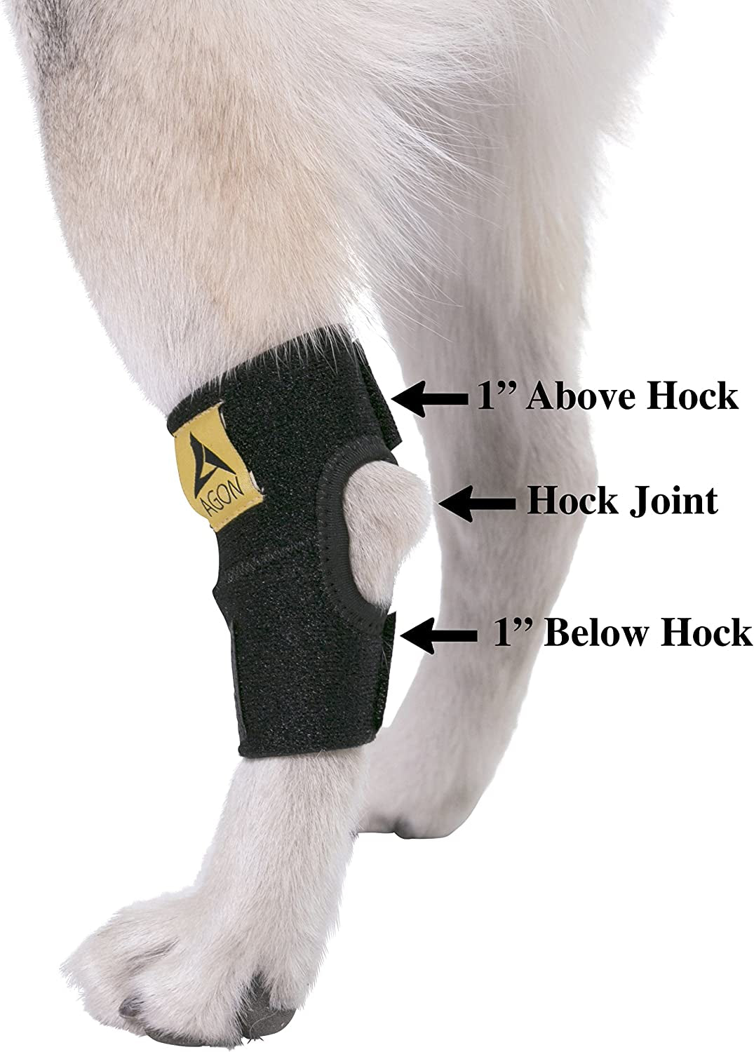 ® Dog Canine Rear Hock Joint Brace Compression Wrap with Straps Dog for Back Leg Protects Wounds. Heals Prevents Injuries and Sprains Helps with Loss of Stability Caused by Arthritis (Small)