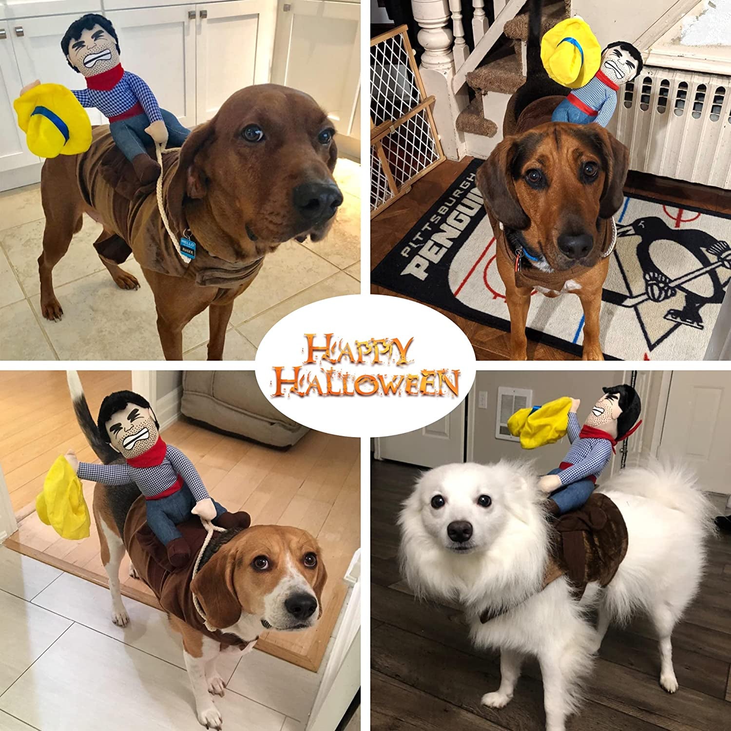 Dog Halloween Costume Funny Dog Cowboy Riding Costume Pet Costume Cat Suit Cowboy Rider Style for Small Medium Large Dogs (Medium)